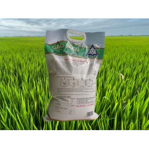 Gạo Sạch Hữu Cơ Điền Tín R21 Chim Rơi 5 Kg - Gạo Vi Sinh